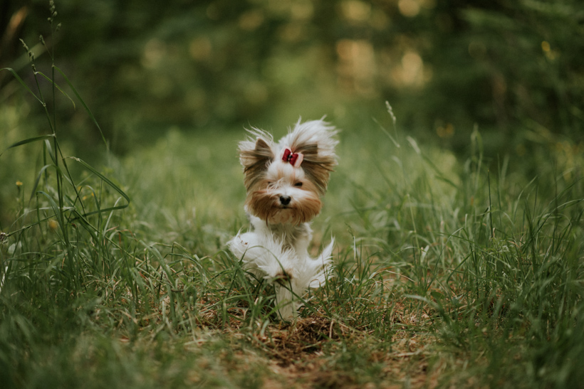 2015-06-05 (13)